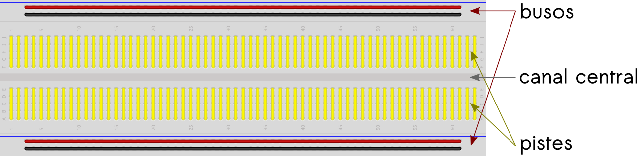 Parts i connexions internes d'una placa de proves (protoboard)