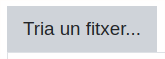 Icona per triar un fitxer
